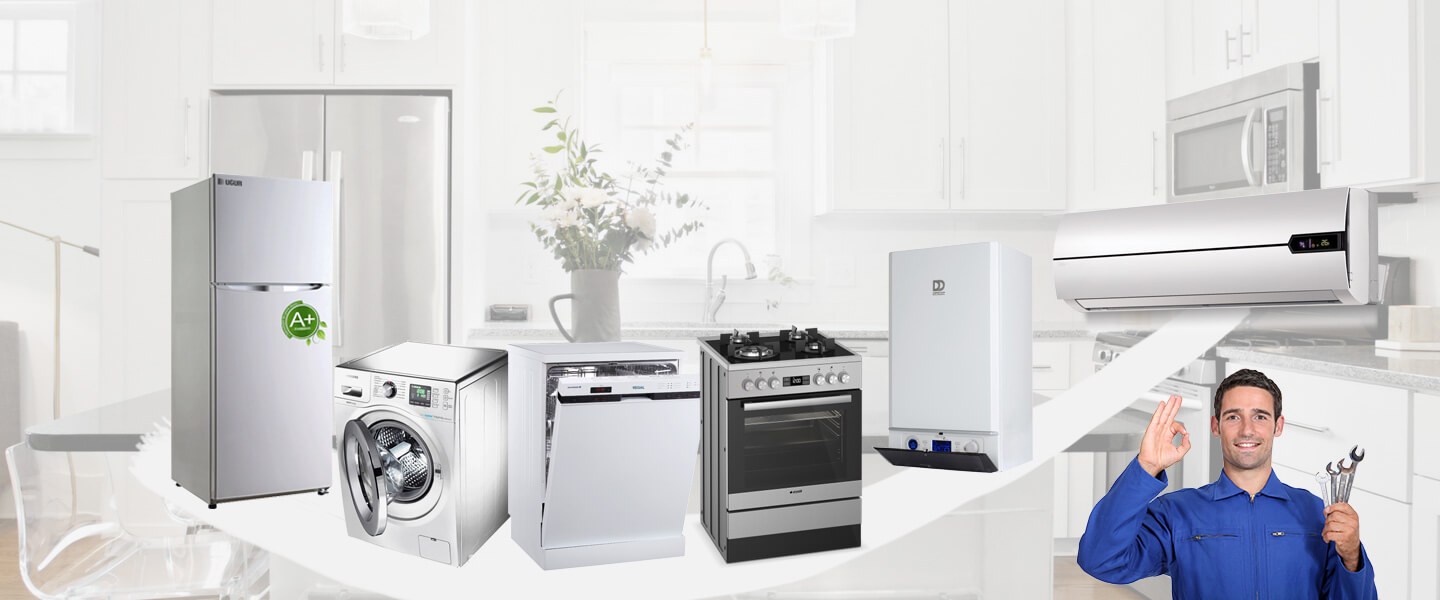 Eyyübiye Smeg Servisi